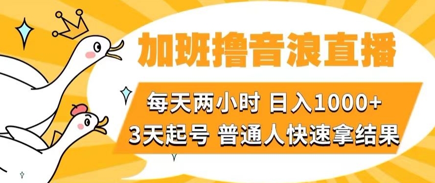 加班撸音浪直播，每天两小时，日入1000+，直播话术才3句，3天起号，普通人快速拿结果【揭秘】-智慧宝库