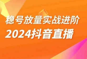 稳号放量实战进阶—2024抖音直播，直播间精细化运营的几大步骤-智慧宝库