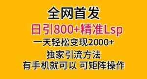 全网首发！日引800+精准老色批，一天变现2000+，独家引流方法，可矩阵操作【揭秘】-智慧宝库