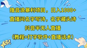 撸音浪暴利项目,日入1000+,直播间名字写诗,名字藏头诗,抖音半无人直播(教程+打字软件+直播话术)【揭秘】-智慧宝库
