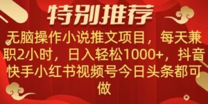 无脑操作【小说推文项目】,兼职每天两小时,日入轻松1000+,抖音快手视频号小红湖中视频都可做【揭秘】-智慧宝库