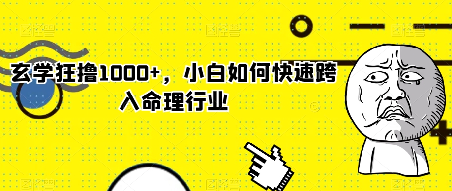 玄学狂撸1000+，小白如何快速跨入命理行业【揭秘】-智慧宝库