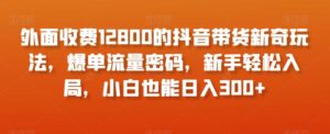 外面收费12800的抖音带货新奇玩法,爆单流量密码,新手轻松入局,小白也能日入300+【揭秘】-智慧宝库