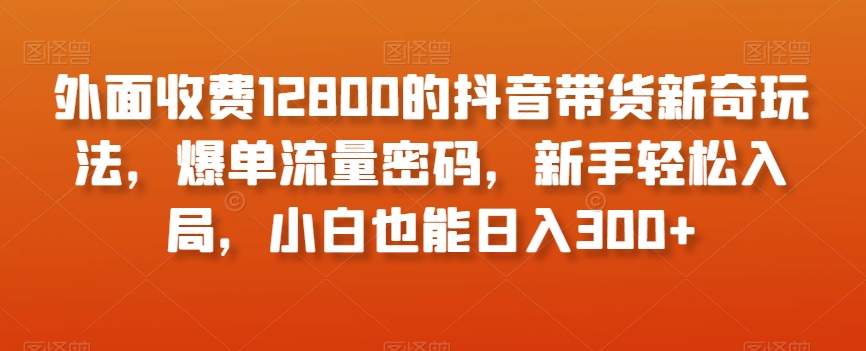 外面收费12800的抖音带货新奇玩法，爆单流量密码，新手轻松入局，小白也能日入300+【揭秘】-智慧宝库