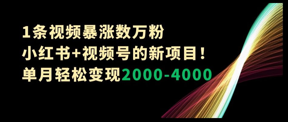 1条视频暴涨数万粉小红书+视频号的新项目！单月轻松变现2000-4000【揭秘】-智慧宝库