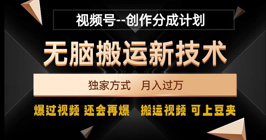 视频号无脑搬运新技术，破原创壕流量，独家方式，爆过视频，还会再爆【揭秘】-智慧宝库