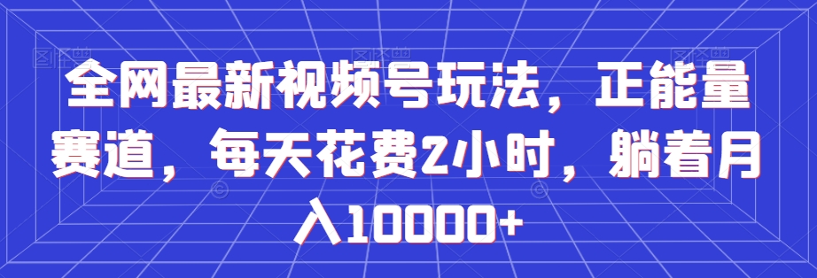 全网最新视频号玩法，正能量赛道，每天花费2小时，躺着月入10000+【揭秘】-智慧宝库