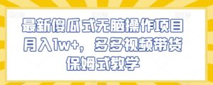 最新傻瓜式无脑操作项目月入1w+，多多视频带货保姆式教学【揭秘】-智慧宝库