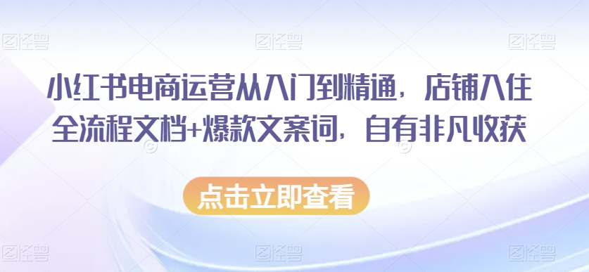 小红书电商运营从入门到精通，店铺入住全流程文档+爆款文案词，自有非凡收获-智慧宝库