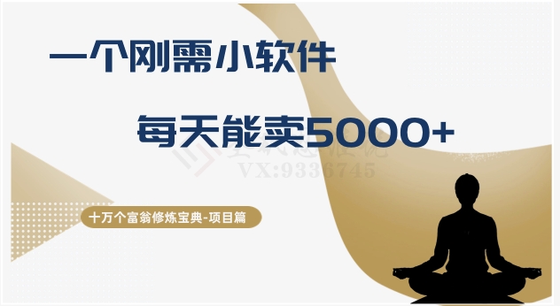 十万个富翁修炼宝典之17.一个刚需小软件，每天能卖5000+-智慧宝库