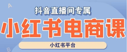 小红书电商高级运营课程，实操教学+案例分析-智慧宝库