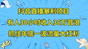 抖音直播暴利项目，有人30小时收入36万音浪，公司宣传片年会视频制作，抓住年底一波流量大红利【揭秘】-智慧宝库