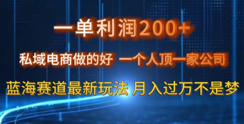 一单利润200私域电商做的好，一个人顶一家公司蓝海赛道最新玩法【揭秘】-智慧宝库