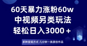 60天暴力涨粉60W，中视频另类玩法，日入3000＋，几分钟一条原创作品多种变现方式-智慧宝库