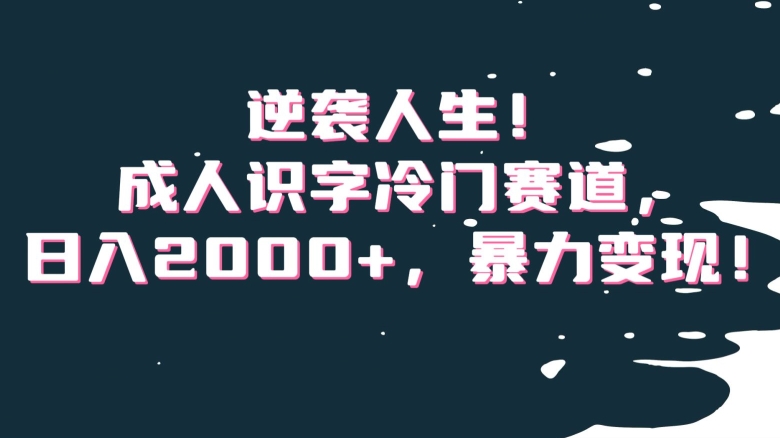 逆袭人生！成人识字冷门赛道，日入2000+，暴力变现！【揭秘】-智慧宝库