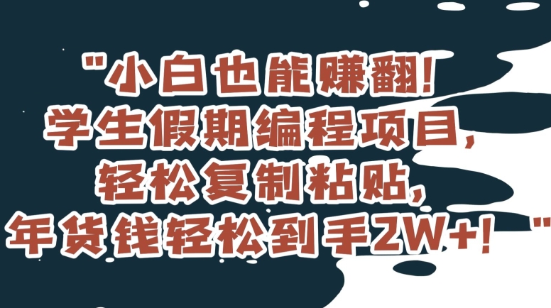 小白也能赚翻！学生假期编程项目，轻松复制粘贴，年货钱轻松到手2W+【揭秘】-智慧宝库