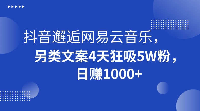 抖音邂逅网易云音乐，另类文案4天狂吸5W粉，日赚1000+【揭秘】-智慧宝库