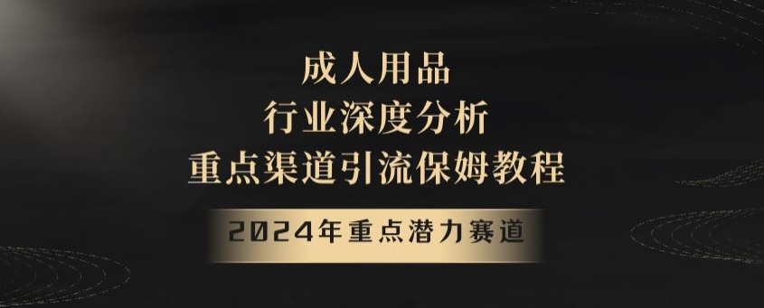 2024年重点潜力赛道，成人用品行业深度分析，重点渠道引流保姆教程【揭秘】-智慧宝库