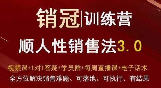 爆款！销冠训练营3.0之顺人性销售法，全方位解决销售难题、可落地、可执行、有结果-智慧宝库