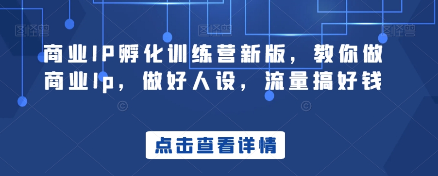 商业IP孵化训练营新版，教你做商业Ip，做好人设，流量搞好钱-智慧宝库