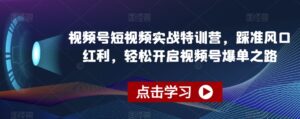 视频号短视频实战特训营，踩准风口红利，轻松开启视频号爆单之路-智慧宝库