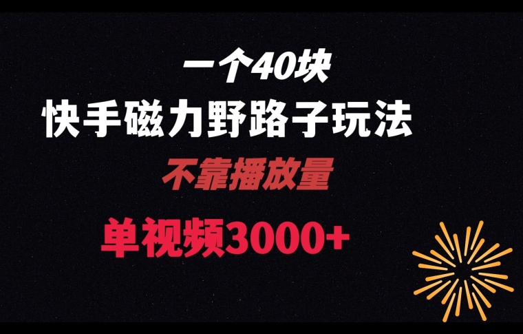 一个40块，快手联合美团磁力新玩法，无视机制野路子玩法，单视频收益4位数【揭秘】-智慧宝库