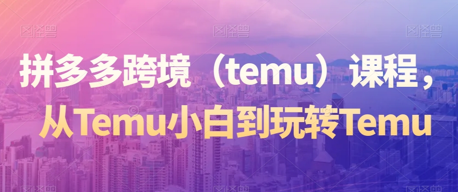 拼多多跨境（temu）课程，从Temu小白到玩转Temu-智慧宝库