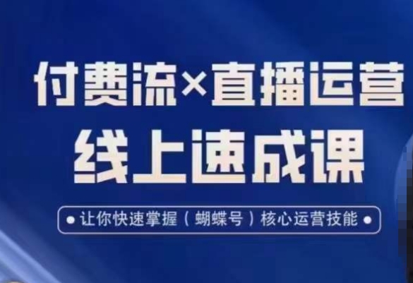 视频号付费流实操课程，付费流✖️直播运营速成课，让你快速掌握视频号核心运营技能-智慧宝库