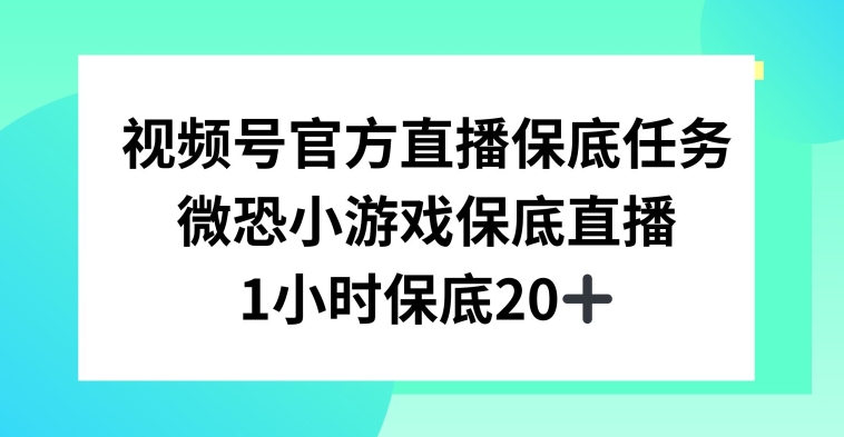 视频号直播任务，微恐小游戏，1小时20+【揭秘】-智慧宝库