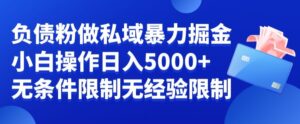 负债粉私域暴力掘金，小白操作入5000，无经验限制，无条件限制【揭秘】-智慧宝库