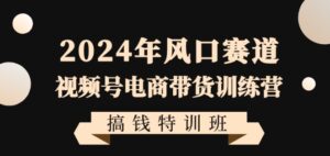 2024年风口赛道视频号电商带货训练营搞钱特训班,带领大家快速入局自媒体电商带货-智慧宝库