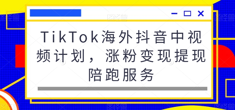 TikTok海外抖音中视频计划，涨粉变现提现陪跑服务-智慧宝库