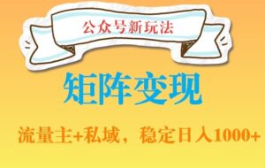 公众号软件玩法私域引流网盘拉新,多种变现,稳定日入1000【揭秘】-智慧宝库