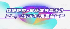 臻曦联盟-单品微付费正价起号,2024年1月最新课程-智慧宝库