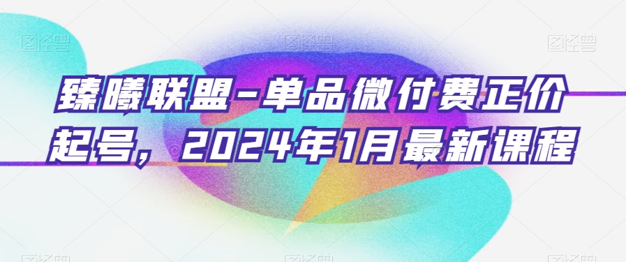 臻曦联盟-单品微付费正价起号，2024年1月最新课程-智慧宝库