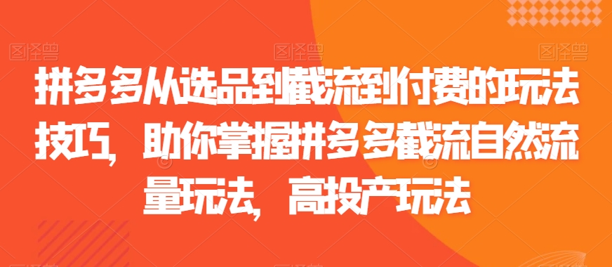 拼多多从选品到截流到付费的玩法技巧，助你掌握拼多多截流自然流量玩法，高投产玩法-智慧宝库