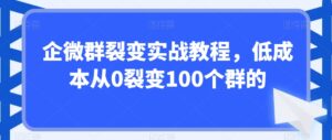 企微群裂变实战教程,低成本从0裂变100个群的-智慧宝库