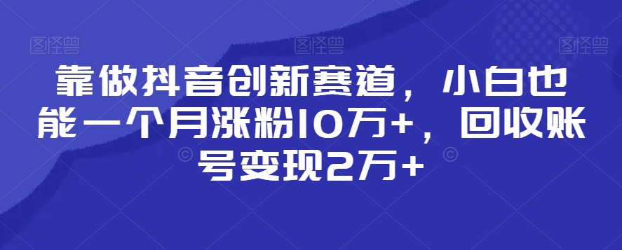 靠做抖音创新赛道，小白也能一个月涨粉10万+，回收账号变现2万+【揭秘】-智慧宝库