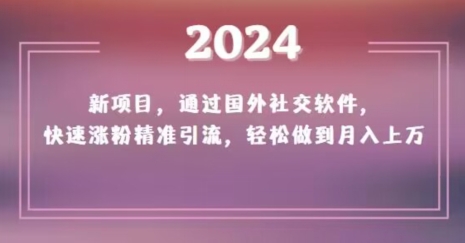 2024新项目，通过国外社交软件，快速涨粉精准引流，轻松做到月入上万【揭秘】-智慧宝库