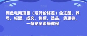 闲鱼电商项目（玩转价格差）含注册、养号、标题、成交、售后、选品、货源等，一条龙全系统教程-智慧宝库