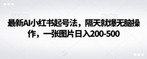 最新AI小红书起号法，隔天就爆无脑操作，一张图片日入200-500-智慧宝库