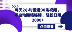 每天2小时搬运30条视频,半自动赚钱秘籍,轻松日赚2000+-智慧宝库