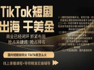 TikTok短剧出海干美金,商业已经闭环抓紧布局,抢占关键词抢占排名-智慧宝库