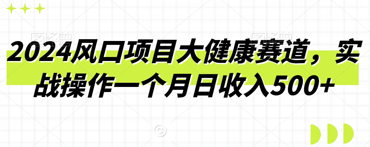 2024风口项目大健康赛道，实战操作一个月日收入500+-智慧宝库