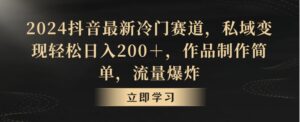 2024抖音最新冷门赛道,私域变现轻松日入200+,作品制作简单,流量爆炸-智慧宝库