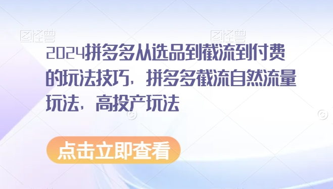 2024拼多多从选品到截流到付费的玩法技巧，拼多多截流自然流量玩法，高投产玩法-智慧宝库