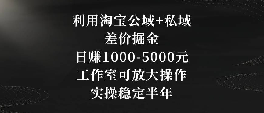 利用淘宝公域+私域差价掘金，日赚1000-5000元，工作室可放大操作，实操稳定半年【揭秘】-智慧宝库