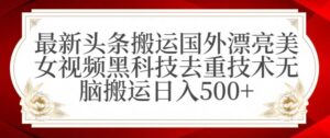 最新头条搬运国外漂亮美女视频黑科技去重技术无脑搬运日入500+【揭秘】-智慧宝库