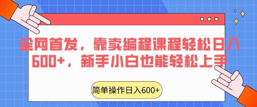 全网首发，靠卖编程课程轻松日入600+，新手小白也能轻松上手-智慧宝库