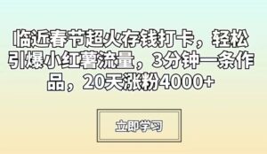 临近春节超火存钱打卡，轻松引爆小红薯流量，3分钟一条作品，20天涨粉4000+【揭秘】-智慧宝库